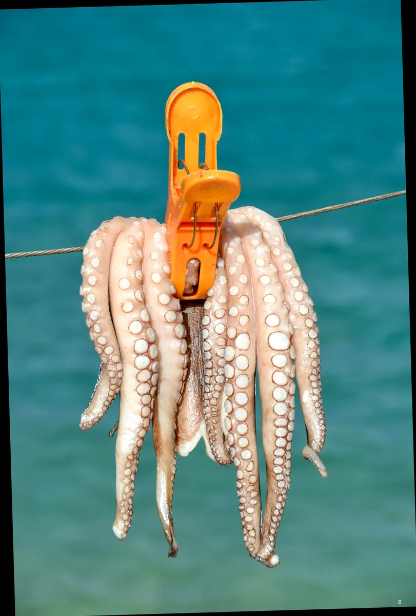 해결책 #2: 🌊 조류를 역이용하는 바닥층 공략법 🎣