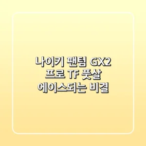 나이키 팬텀 GX2 프로 TF: 풋살 에이스되는 비결