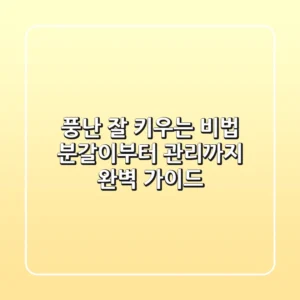 풍난 잘 키우는 비법: 분갈이부터 관리까지 완벽 가이드