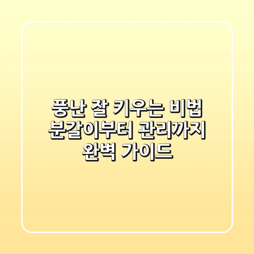 풍난 잘 키우는 비법: 분갈이부터 관리까지 완벽 가이드