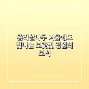 좀작살나무: 겨울에도 빛나는 보랏빛 정원의 보석!