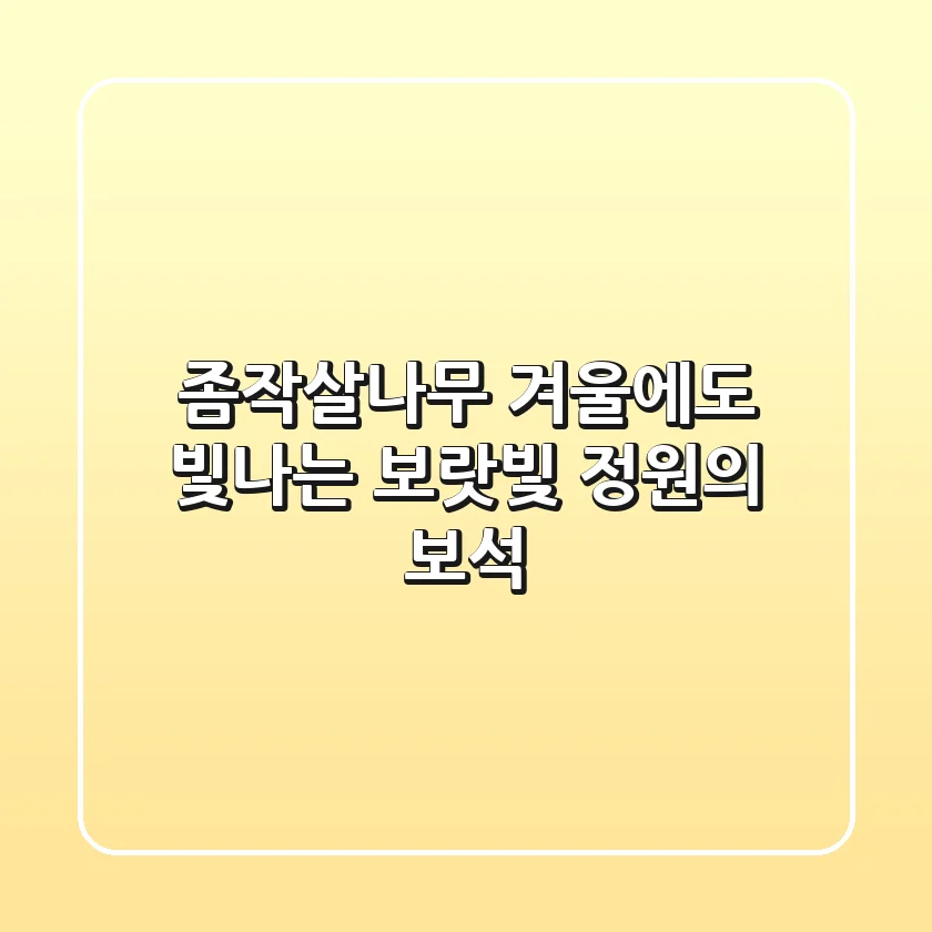 좀작살나무: 겨울에도 빛나는 보랏빛 정원의 보석!