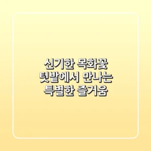신기한 목화꽃! 텃밭에서 만나는 특별한 즐거움