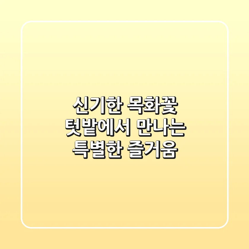 신기한 목화꽃! 텃밭에서 만나는 특별한 즐거움