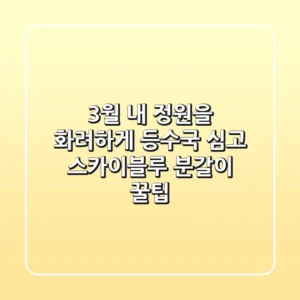 3월, 내 정원을 화려하게! 등수국 심고 스카이블루 분갈이 꿀팁