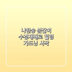 나한송 분갈이 & 수경재배로 힐링 가드닝 시작!
