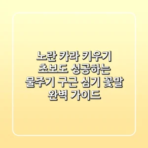 노란 카라 키우기: 초보도 성공하는 물주기, 구근 심기, 꽃말 완벽 가이드