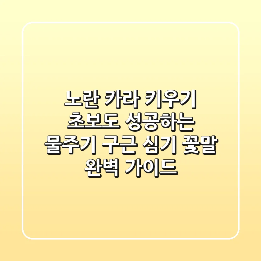 노란 카라 키우기: 초보도 성공하는 물주기, 구근 심기, 꽃말 완벽 가이드
