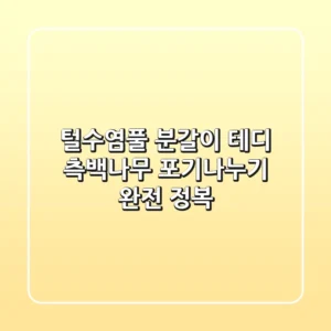 털수염풀 분갈이, 테디 측백나무 포기나누기 완전 정복!