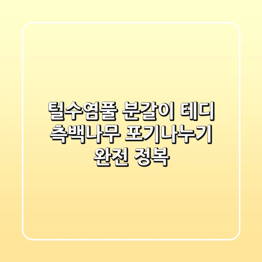 털수염풀 분갈이, 테디 측백나무 포기나누기 완전 정복!