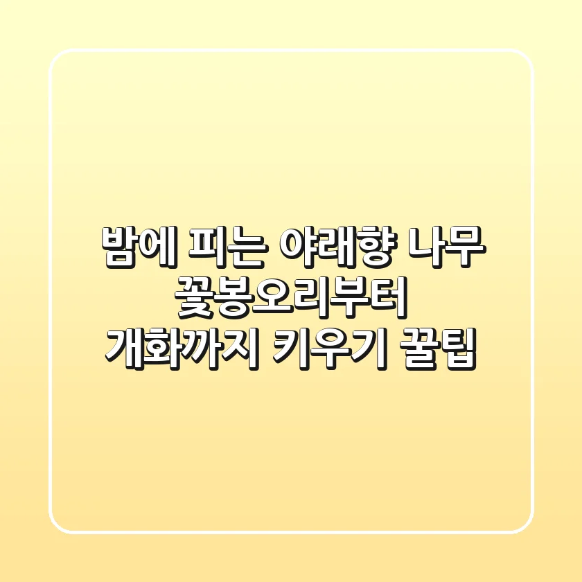 밤에 피는 야래향 나무, 꽃봉오리부터 개화까지 키우기 꿀팁!