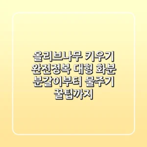 올리브나무 키우기 완전정복: 대형 화분 분갈이부터 물주기 꿀팁까지!