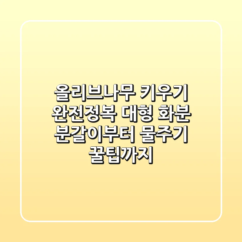 올리브나무 키우기 완전정복: 대형 화분 분갈이부터 물주기 꿀팁까지!