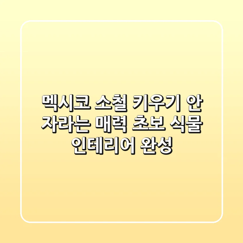 멕시코 소철 키우기: 안 자라는 매력, 초보 식물 인테리어 완성!