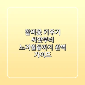 할미꽃 키우기: 씨앗부터 노지월동까지 완벽 가이드