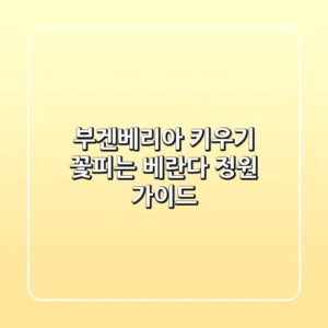 부겐베리아 키우기: 꽃피는 베란다 정원 가이드