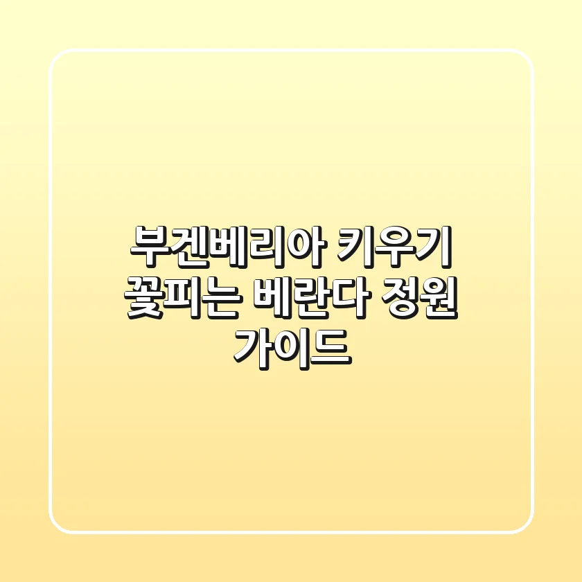 부겐베리아 키우기: 꽃피는 베란다 정원 가이드