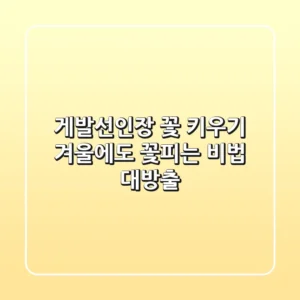 게발선인장 꽃 키우기: 겨울에도 꽃피는 비법 대방출!
