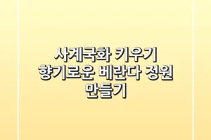 사계국화 키우기, 향기로운 베란다 정원 만들기