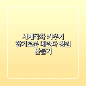 사계국화 키우기, 향기로운 베란다 정원 만들기
