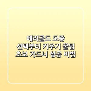 메리골드 모종 선택부터 키우기 꿀팁: 초보 가드너 성공 비법!