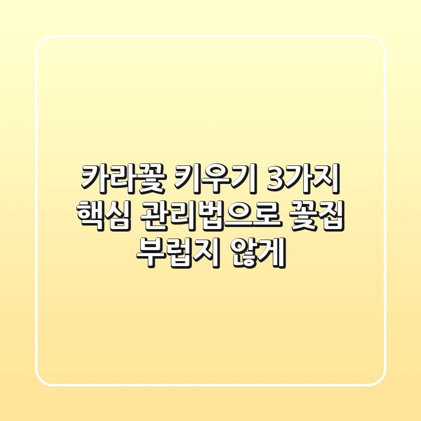 카라꽃 키우기, 3가지 핵심 관리법으로 꽃집 부럽지 않게!