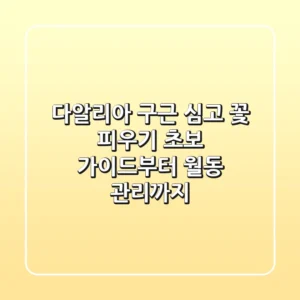 다알리아 구근 심고 꽃 피우기: 초보 가이드부터 월동 관리까지