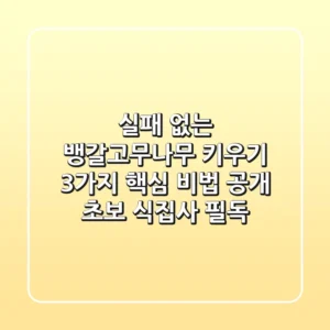 실패 없는 뱅갈고무나무 키우기: 3가지 핵심 비법 공개 (초보 식집사 필독!)
