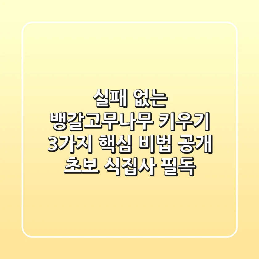 실패 없는 뱅갈고무나무 키우기: 3가지 핵심 비법 공개 (초보 식집사 필독!)