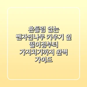흔들림 없는 벤자민나무 키우기: 잎 떨어짐부터 가지치기까지 완벽 가이드