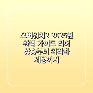 오버워치2 2025년 완벽 가이드: 티어 상승부터 최적화 세팅까지