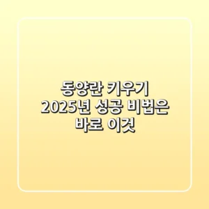 동양란 키우기, 2025년 성공 비법은 바로 이것!