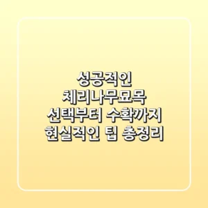 성공적인 체리나무묘목 선택부터 수확까지, 현실적인 팁 총정리