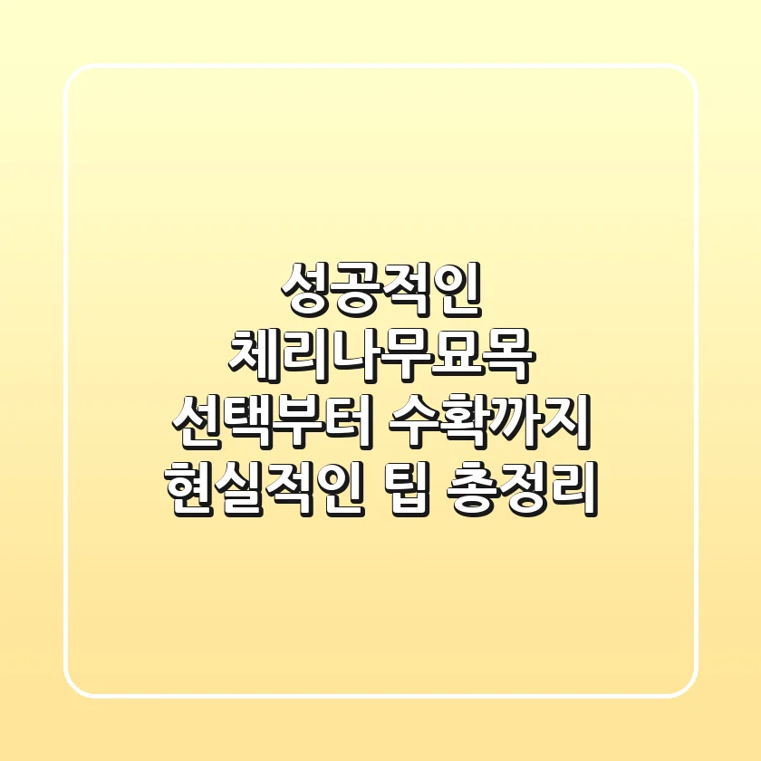 성공적인 체리나무묘목 선택부터 수확까지, 현실적인 팁 총정리