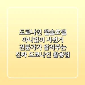 도쿄나인, 캡슐호텔 아니었어? 자전거 전문가가 알려주는 진짜 '도쿄나인' 활용법