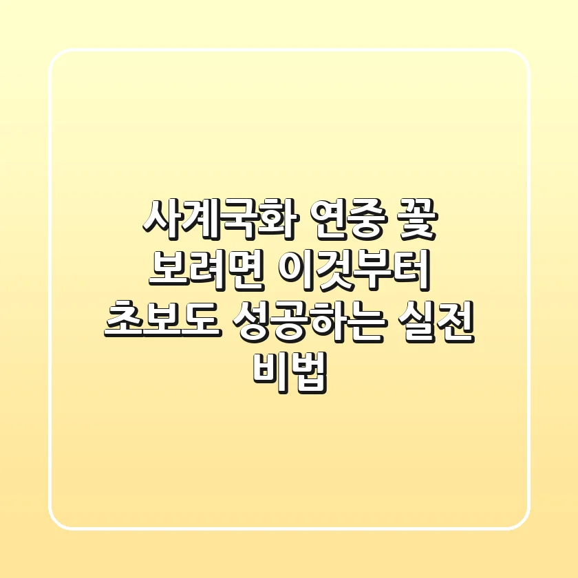 사계국화, 연중 꽃 보려면 '이것'부터! 초보도 성공하는 실전 비법