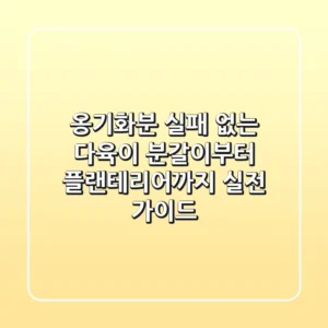 옹기화분, 실패 없는 다육이 분갈이부터 플랜테리어까지 실전 가이드