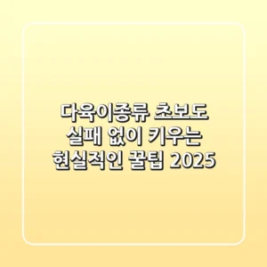 다육이종류, 초보도 실패 없이 키우는 현실적인 꿀팁 2025