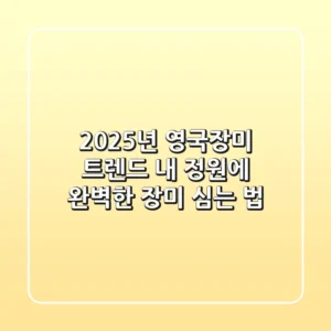 2025년 영국장미 트렌드: 내 정원에 완벽한 장미 심는 법