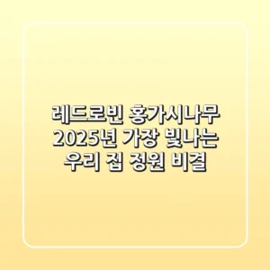 레드로빈 홍가시나무, 2025년 가장 빛나는 우리 집 정원 비결