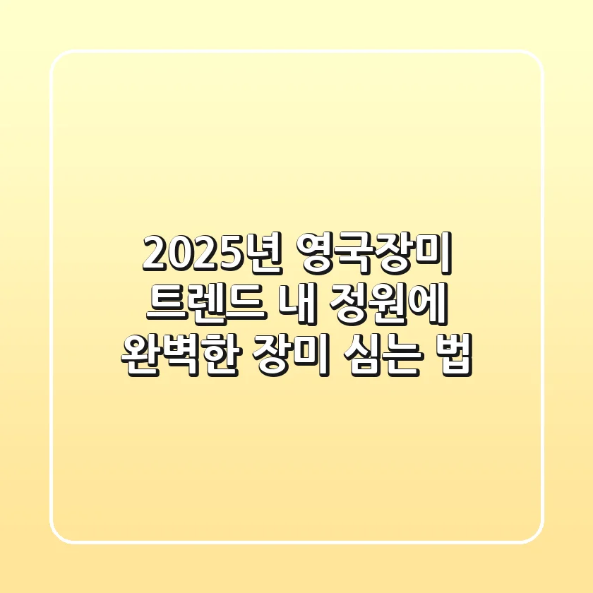 2025년 영국장미 트렌드: 내 정원에 완벽한 장미 심는 법