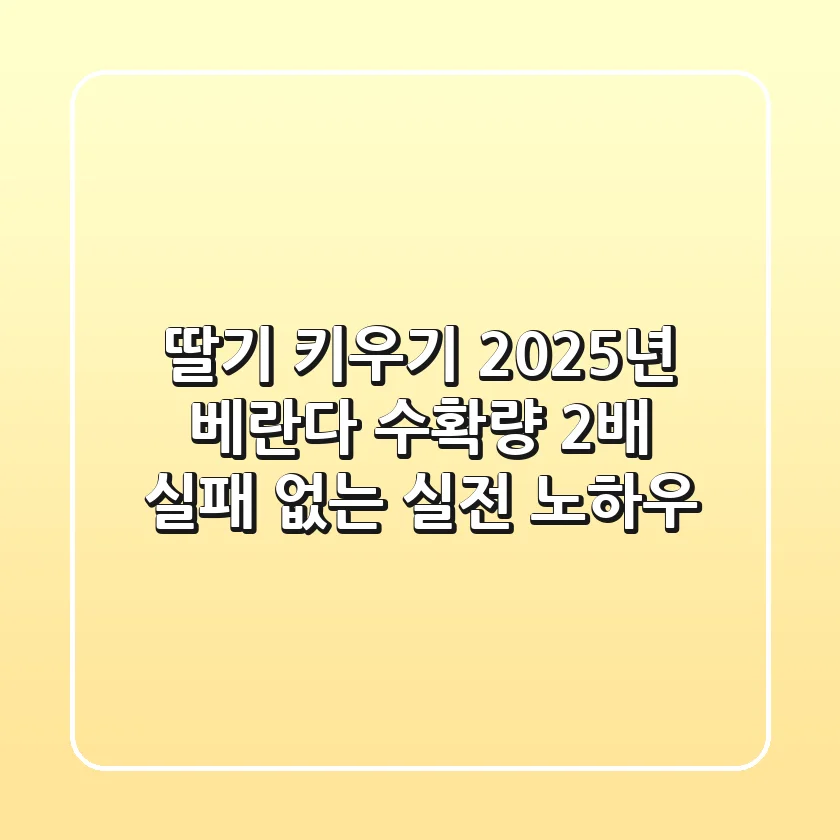 딸기 키우기, 2025년 베란다 수확량 2배! 실패 없는 실전 노하우