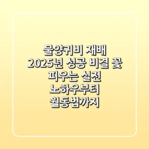 물양귀비 재배, 2025년 성공 비결? 꽃 피우는 실전 노하우부터 월동법까지