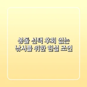 봉돌 선택, 후회 없는 낚시를 위한 현실 조언