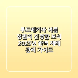 루드베키아, 여름 정원의 진정한 보석! 2025년 완벽 재배 & 관리 가이드