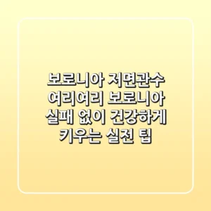 보로니아 저면관수: 여리여리 보로니아, 실패 없이 건강하게 키우는 실전 팁