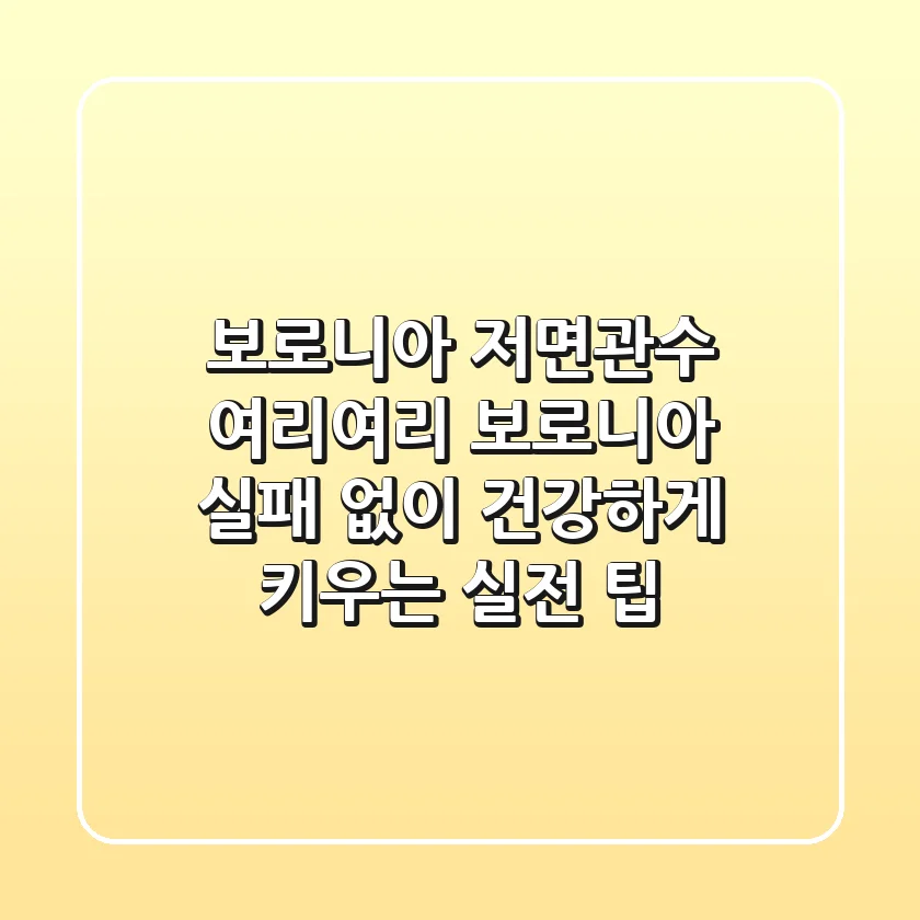 보로니아 저면관수: 여리여리 보로니아, 실패 없이 건강하게 키우는 실전 팁