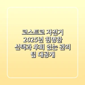 코스트코 자전거, 2025년 현명한 선택과 후회 없는 관리 팁 대공개!