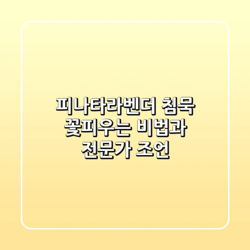 피나타라벤더 침묵: 꽃피우는 비법과 전문가 조언