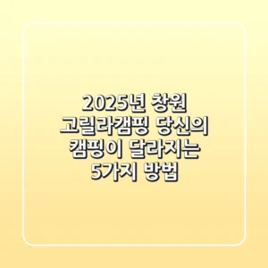 2025년 창원 고릴라캠핑, 당신의 캠핑이 달라지는 5가지 방법